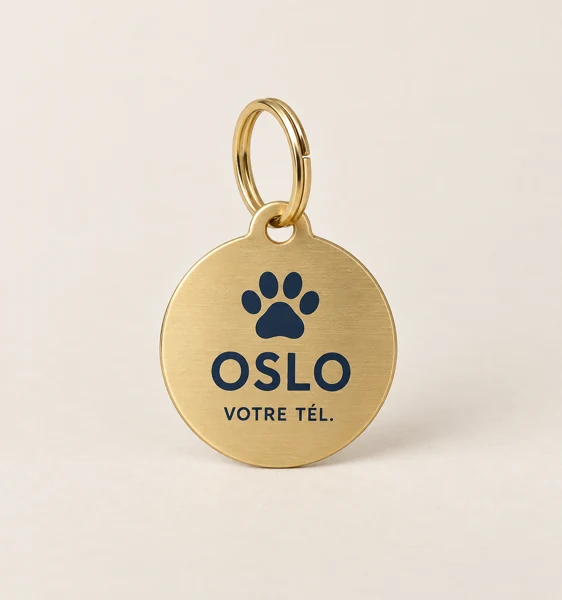 ID tag for a dog or a cat · Flat print · AI preview