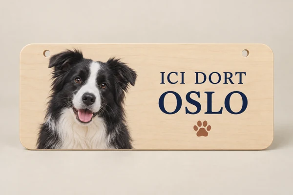 Kennel or bed plaque · Flat print · AI preview