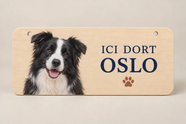 Kennel or bed plaque · Raised print · AI preview